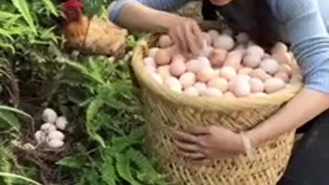 Beautiful woman works hard on her amising chicken farm have a million of eggs