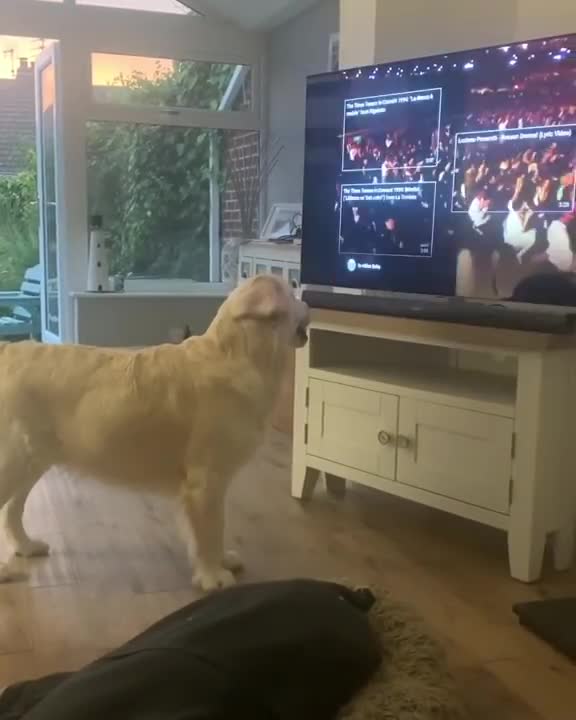 Dogy singing
