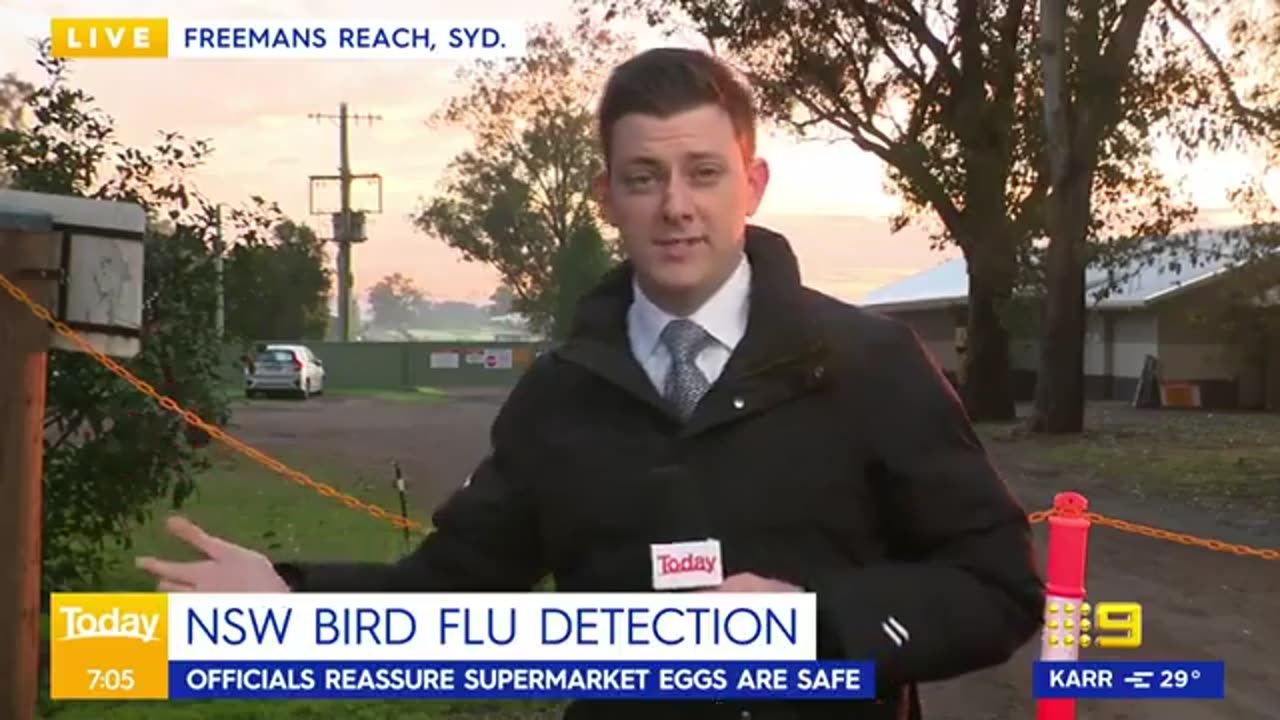 Bird Flu Strain Discovery Forces Sydney Egg Farm Into Bio Lockdown