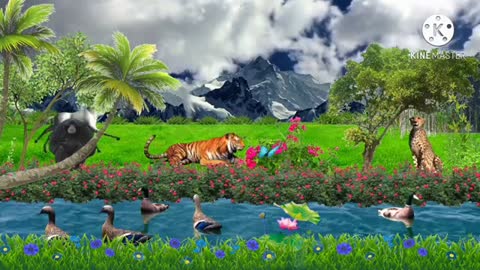 Animals nature water