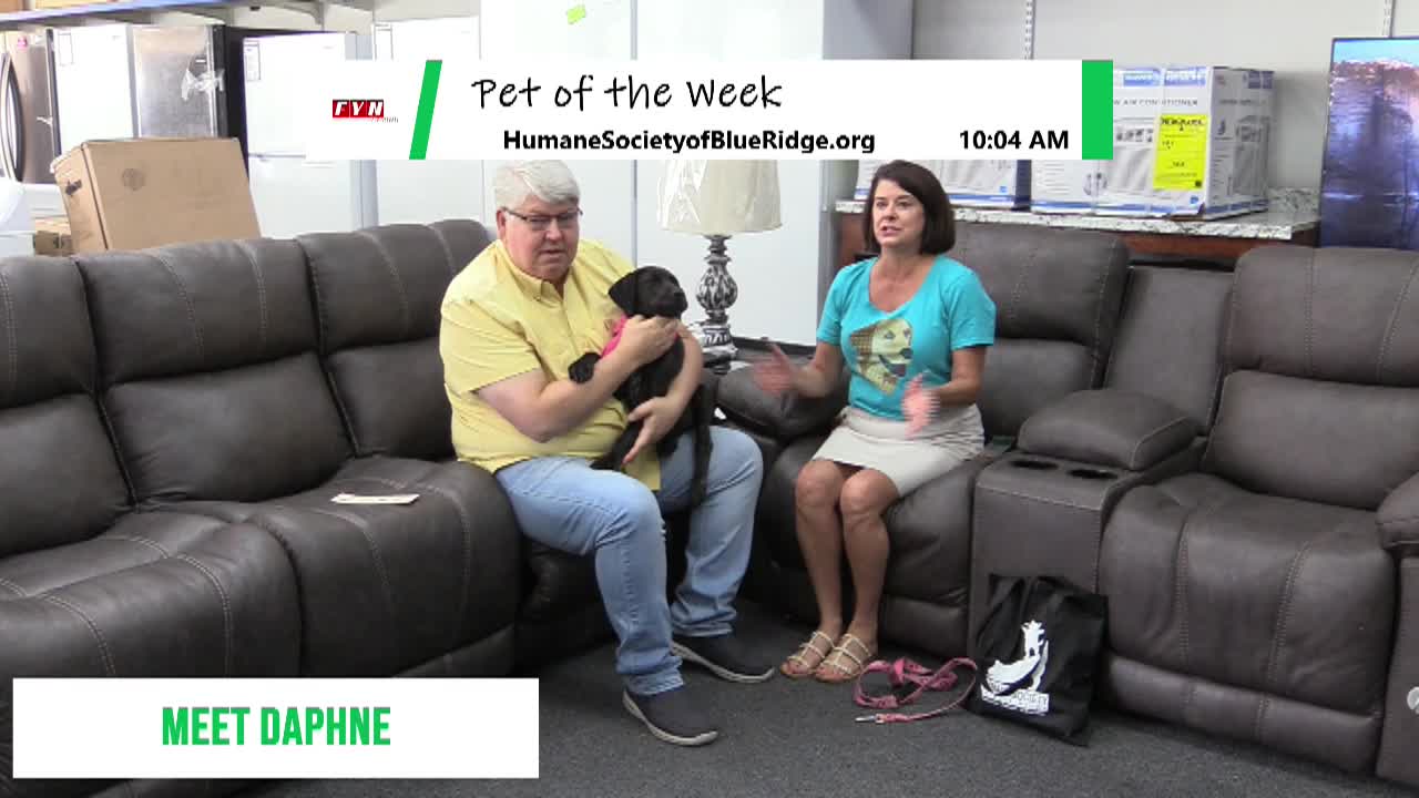 PET OF THE WEEK: Meet Daphne