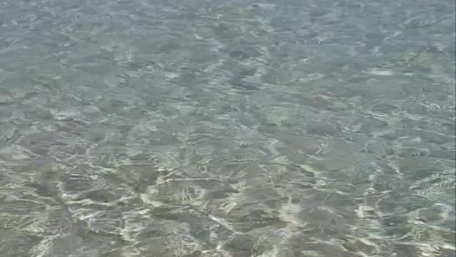 Beach Day