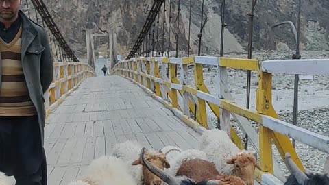 Views of beautiful suspension bridge