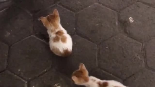 Wait for it