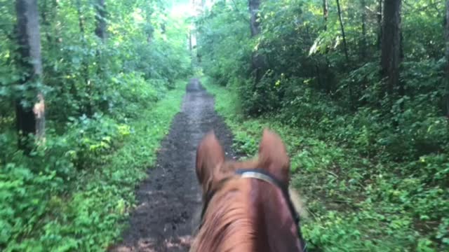 Grace- WARHORSE Endurance Conditioning 100 Mile Challenge