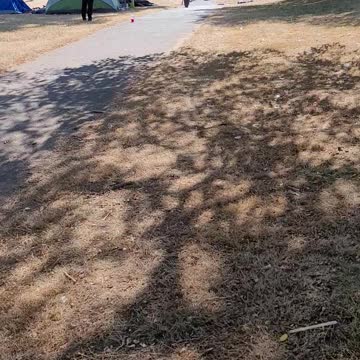 Assault at Broadview Thompson K-8