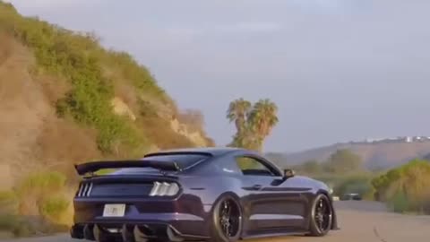 MUSTANG GT ON BAGS