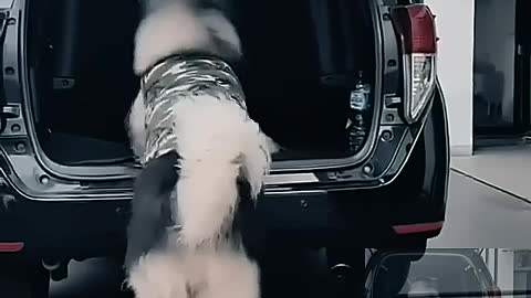 Couldn't get on