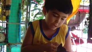 Boy handfeeding a kitten