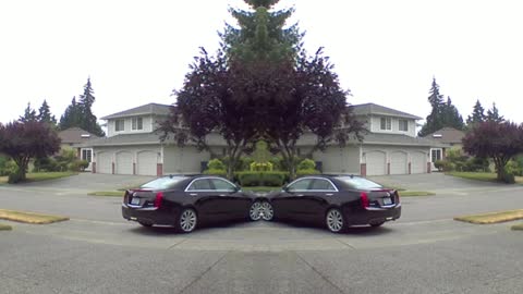 Two Black Cadillacs collide again. Fun video. Short video.