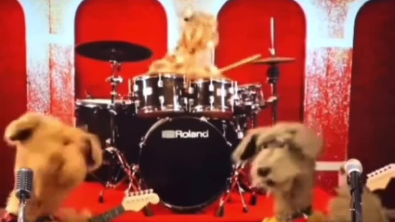 Rock band "Dogs"