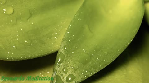Yoga Meditation Relaxing Music, Relaxing Full Motion Forestry with Natural Rain Sounds,