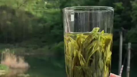 Watching the tea leaves are slowly soaked in water, the process is very relaxing