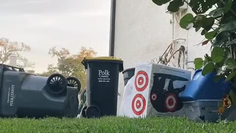 Raccoon Goes After Woman with Rake