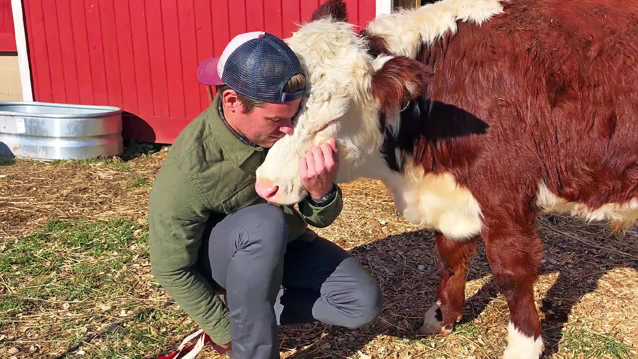 ANIMAL LOVE IS PURE - ADORABLE HUMAN AND ANIMAL FRIENDSHIP