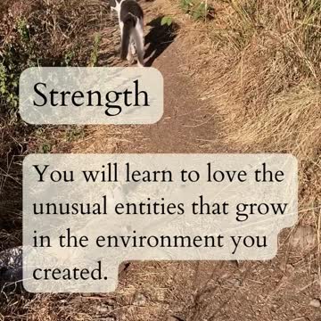 8 of Pentacles to Page of Pentacles 2022-10-23