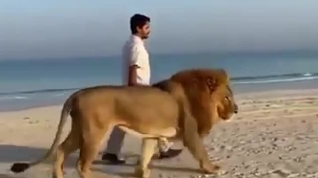 CAN YOU BELIEVE THIS...!!!