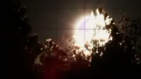 Виталий Синицын Улетай на волю