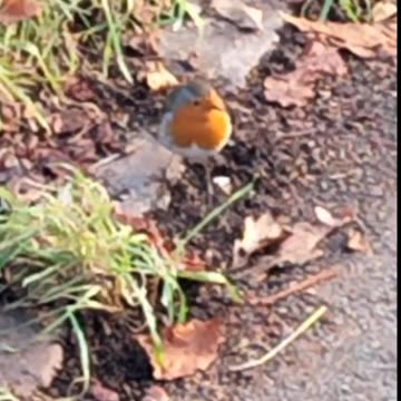 'Wisdom Is Knowing I Am Nothing'