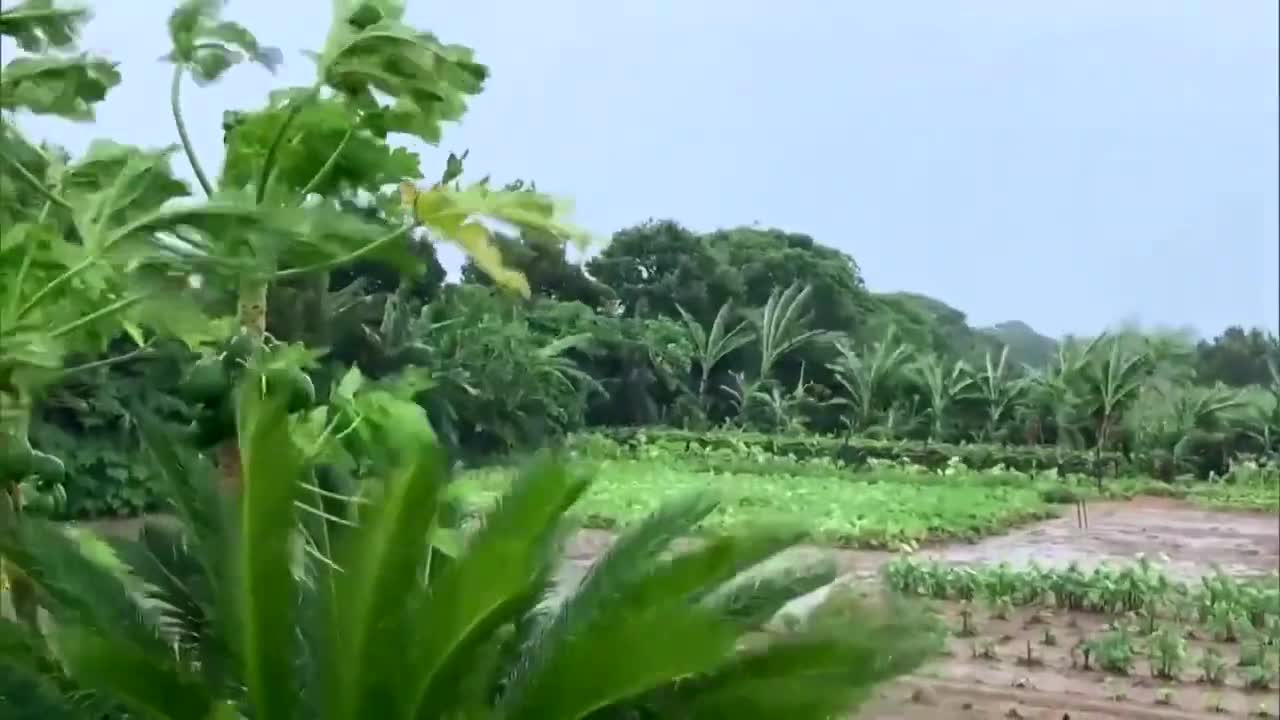 Typhoon Nanmadol prompts record rain, gale warnings for Japan