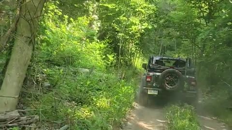 Bantam Jeep Festival