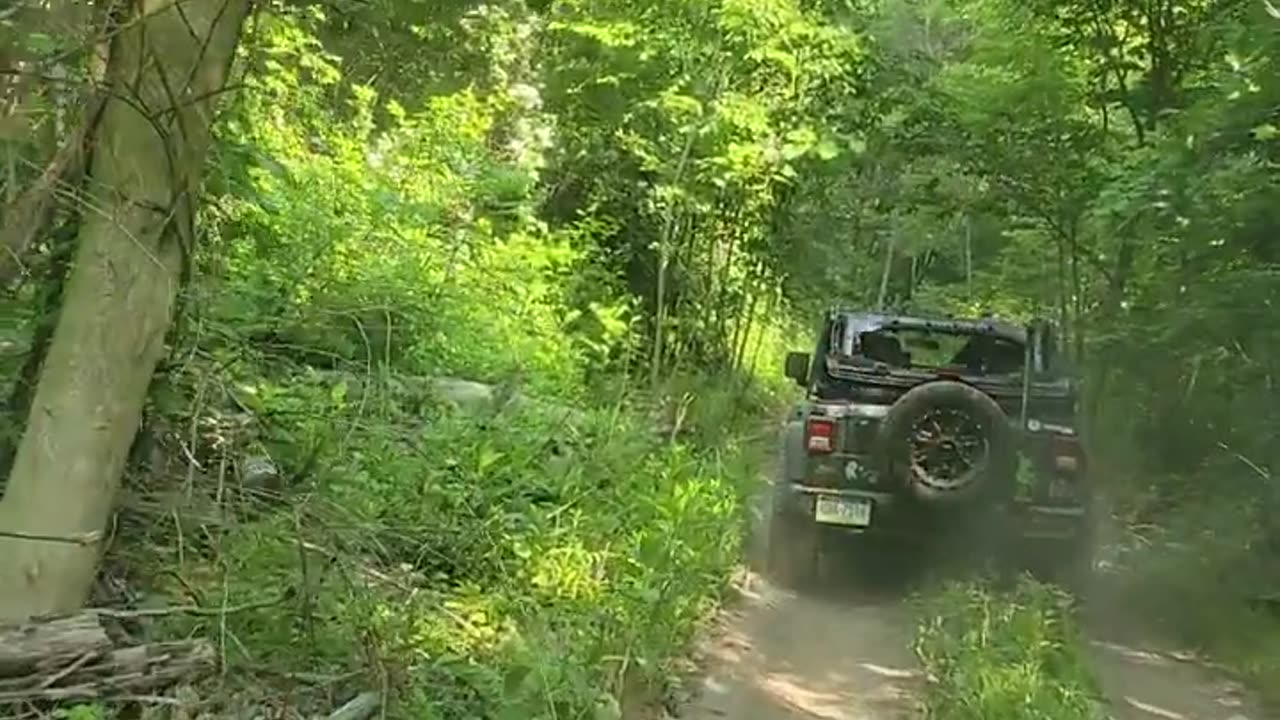 Bantam Jeep Festival