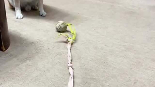 Round head is caught safely.