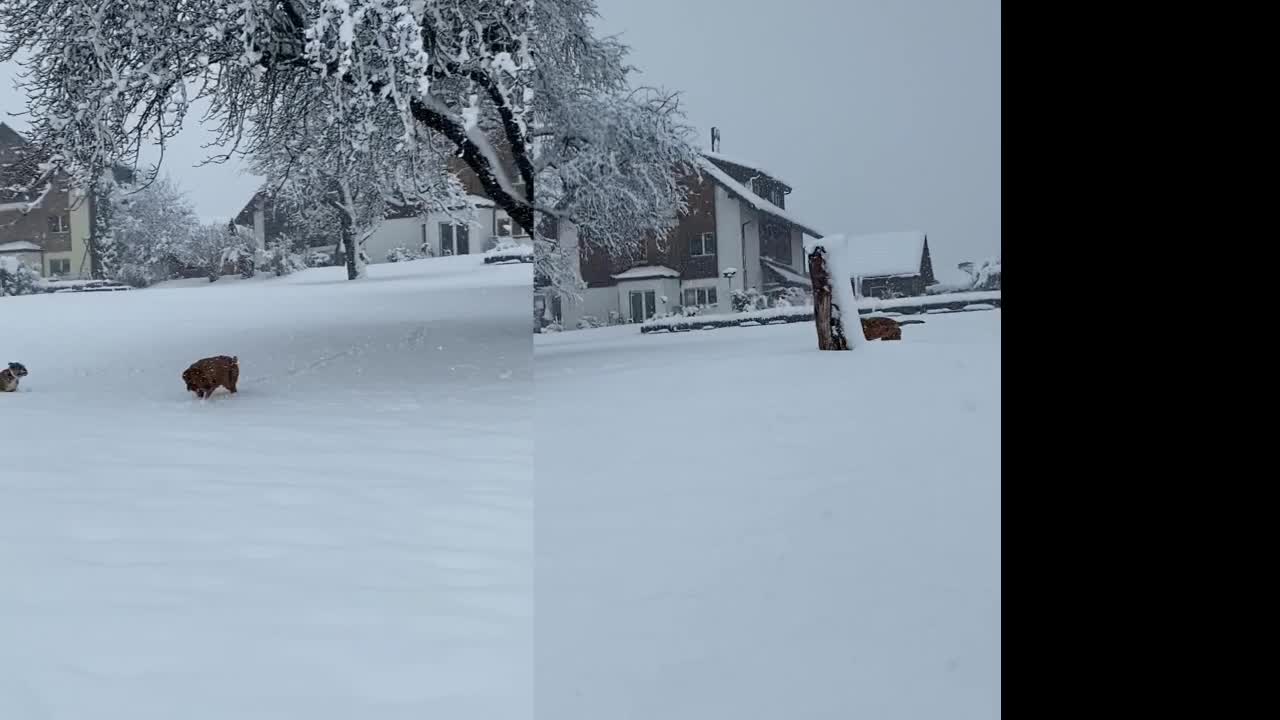 Perhe-elämää Sveitsissä