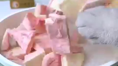 Cat_funny_video_#cat_video#cat_funny#cat_short#cat_video_Short(360p)