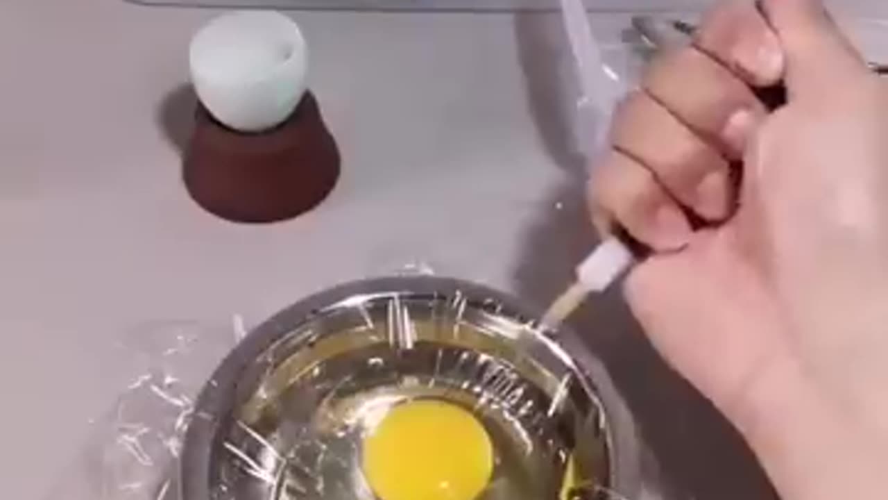 How A Chick Born From A Egg 🐣 - Interesting Video - 😱