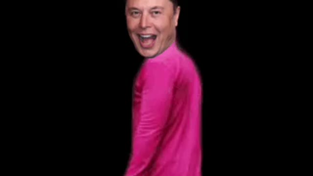 ELON MUSK IS A TOOL OF THE NEW WORLD ORDER