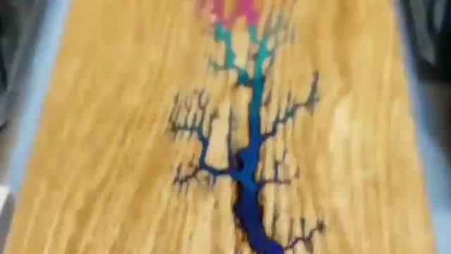 Creativity above all