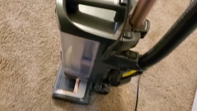 10 minutes of Satisfying Carpet Cleaning