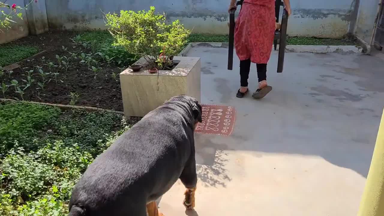 ashu destroyed her friend's favorite cute stuffed animal