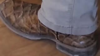 Croc Dundee brother in law