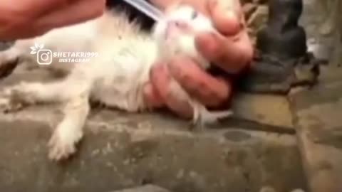 Emotional video