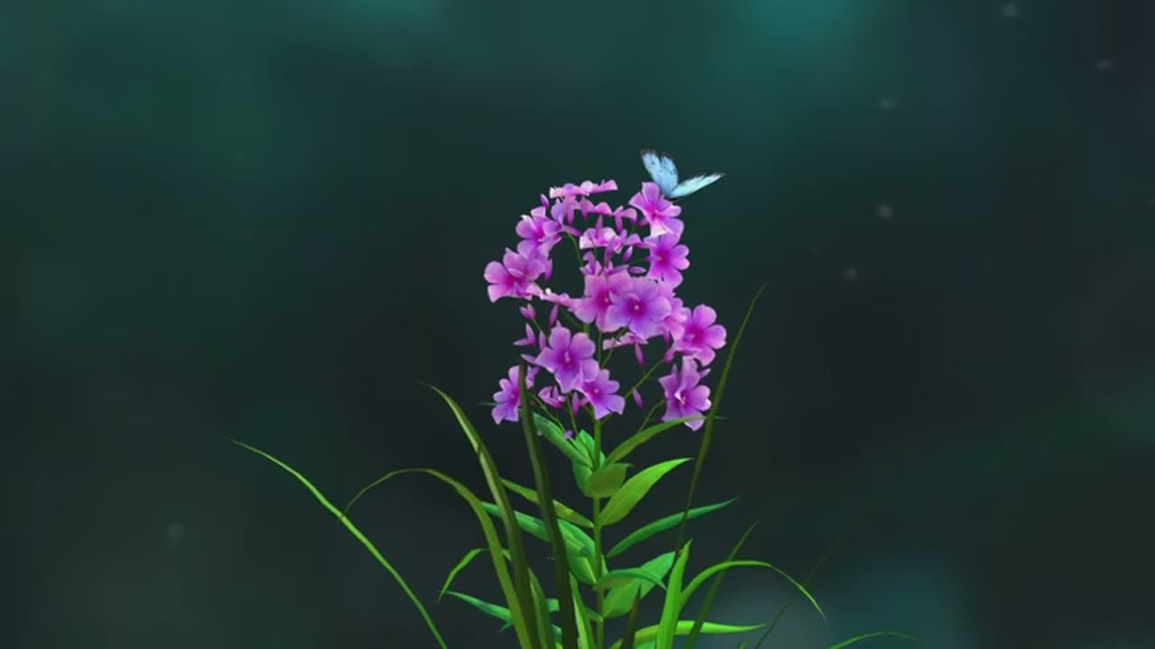 Beautiful Flower
