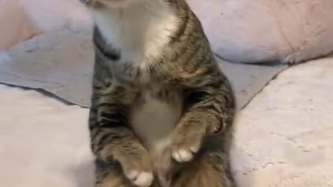 what's going on here ?