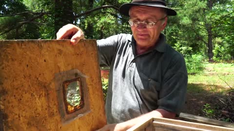 Пасека #87 Apiary #87 Three Frames Bee Wax Pull Fast - No Honeycomb Layers - Beekeeping