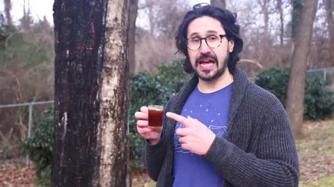 DIY syrup from trees (not just maples)