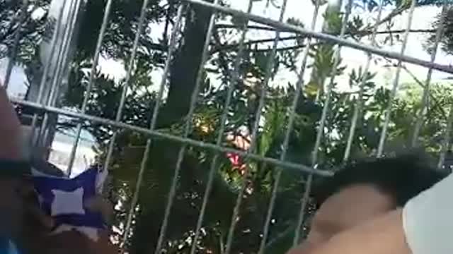Alexandra Salva Santos Agredida em 2 de Julho de 2021 por 2 GNR2 - Video 1