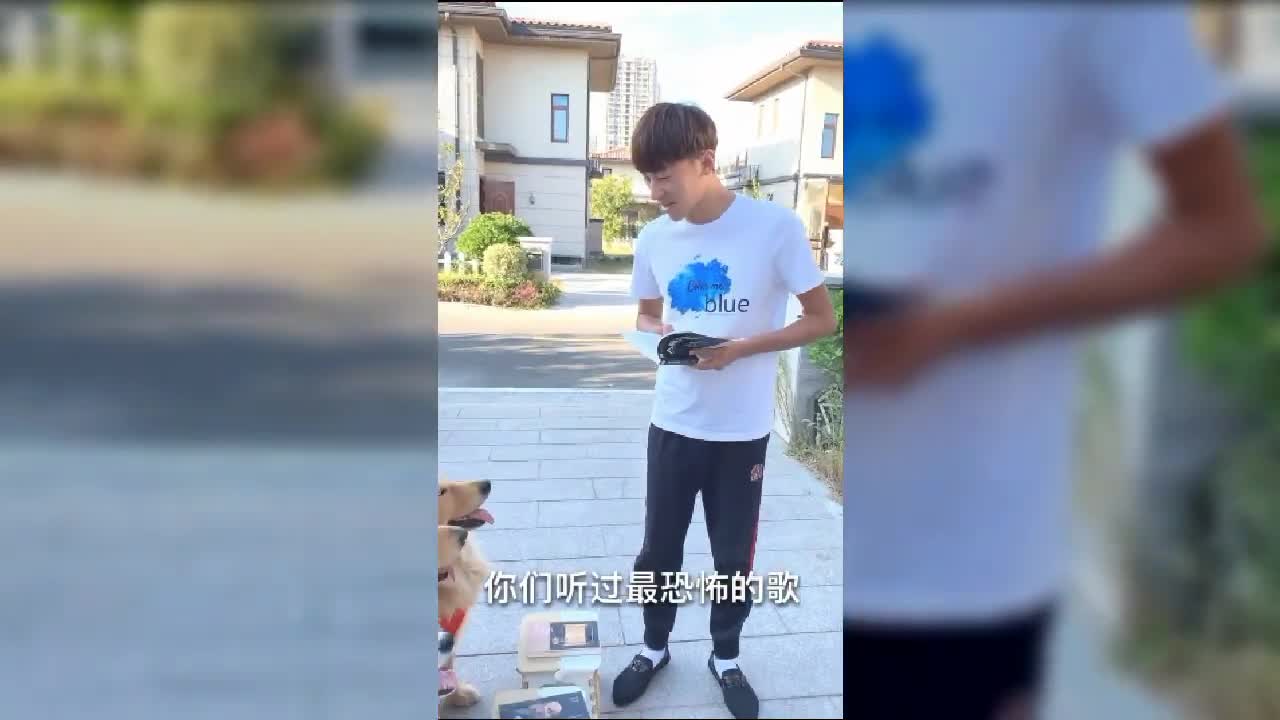 Try not to laugh at the best funny dog videos of 2021,