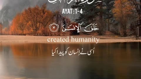 Best Quran Recitation ⭐