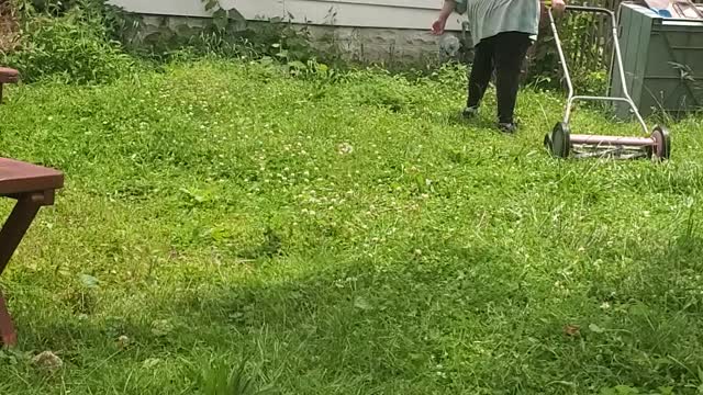My kids mowing