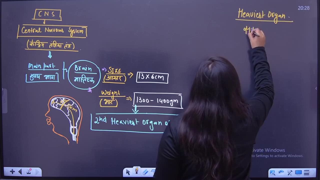 64 nervous system 2