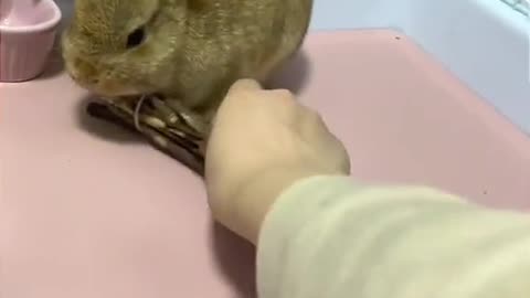 Enjoy videos