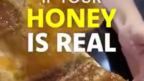 IS YOUR HONEY REAL?