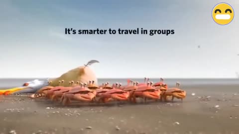 Teamwork and leadership. Funny cartoons