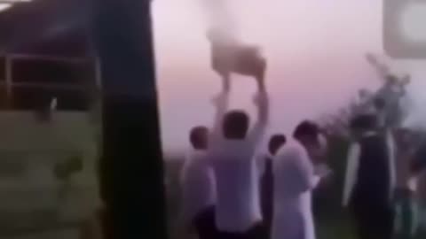 Funny videos 🤣🤣😂🤪