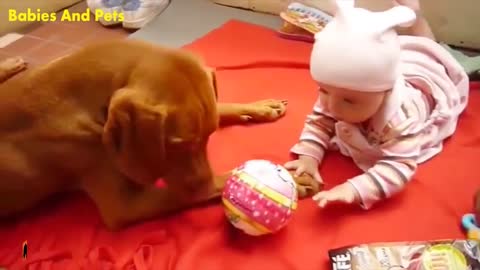 Try to not Laugh | Baby Funny Video